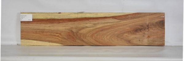 KIAAT1200_2