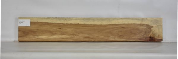 KIAAT1202_2