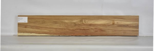 KIAAT1203_2
