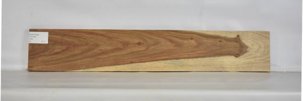 KIAAT1204_1