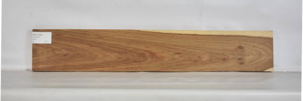 KIAAT1204_2