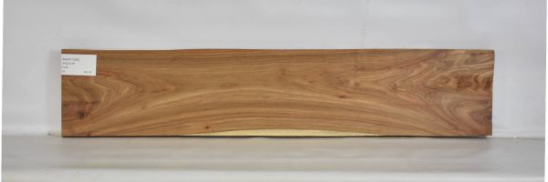 KIAAT1206_2
