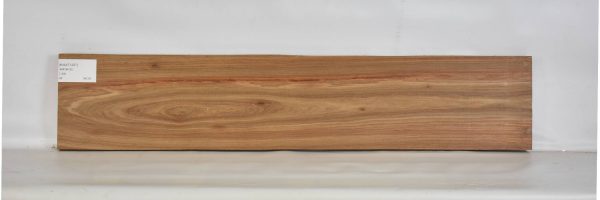 KIAAT1207_1