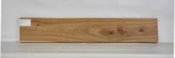 KIAAT1208_2