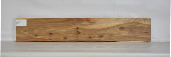 KIAAT1209_1