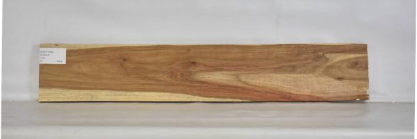 KIAAT1209_2