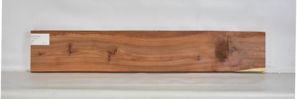 KIAAT1218_1