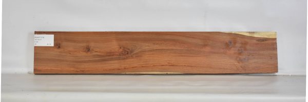 KIAAT1218_2