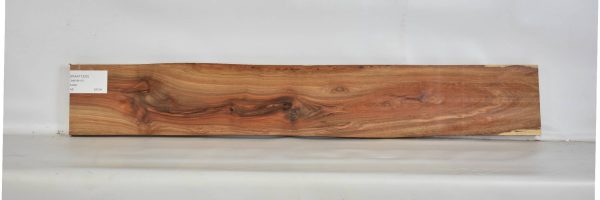 KIAAT1220_2