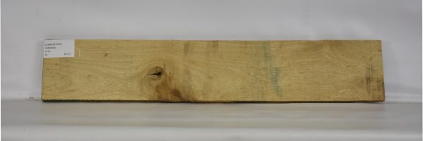 LIMBAB1081_2