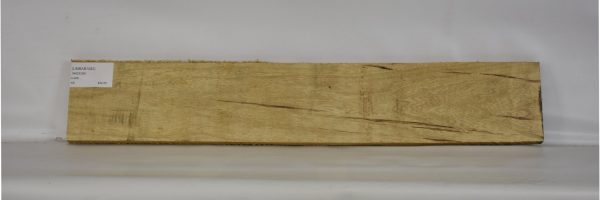 LIMBAB1082_2