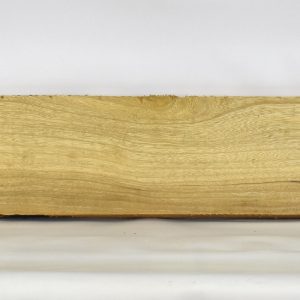 LIMBAB1100_1