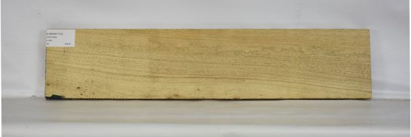 LIMBAB1102_1