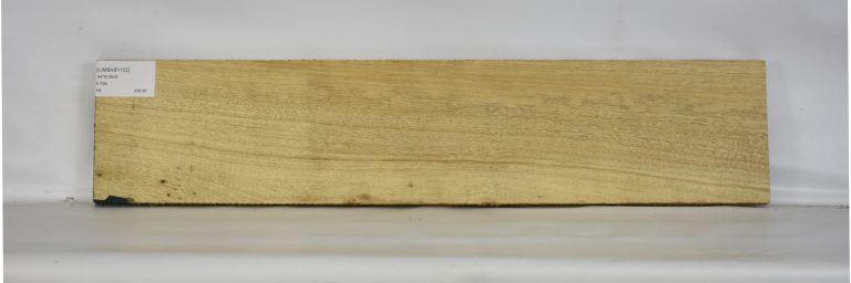 LIMBAB1102_1