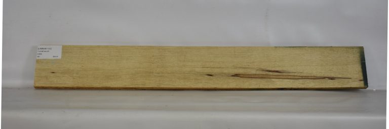 LIMBAB1123_1