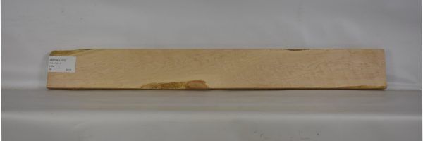 MAPBEH1433_1