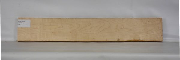 MAPCS1261_2