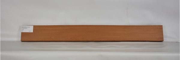 MOGBRAZ1175_1