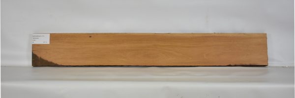 MOGBRAZ1177_1