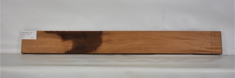 MOGBRAZ1183_1