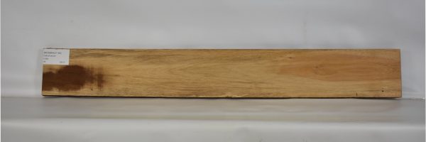 MOGBRAZ1185_2