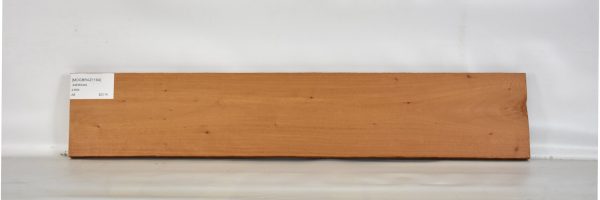 MOGBRAZ1194_2