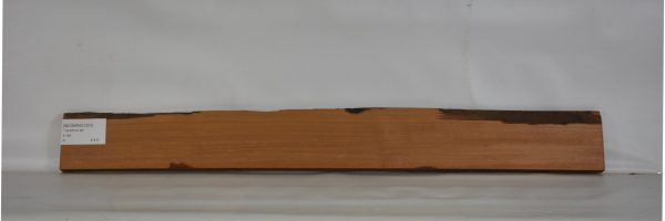 MOGBRAZ1203_1