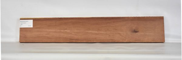 MOGSAN1087_2