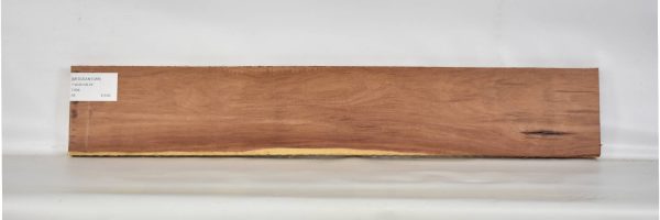 MOGSAN1088_2