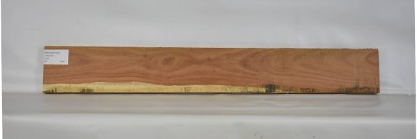 MOGSAN1091_2