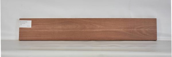 MOGSAN1094_2