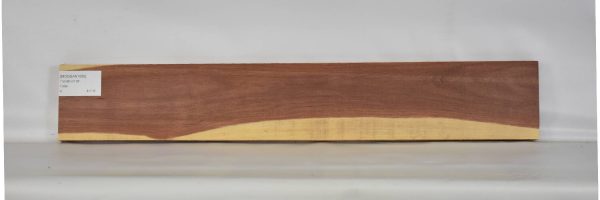 MOGSAN1095_2