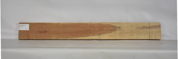 MOGSAN1100_1