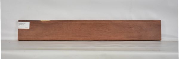 MOGSAN1106_1
