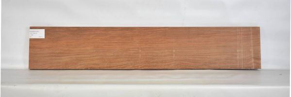 PAUROS1060_2