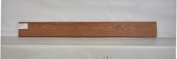 PAUROS1064_1