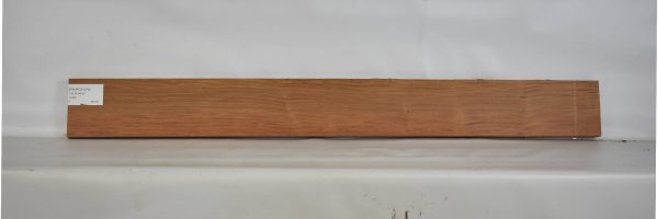 PAUROS1070_2