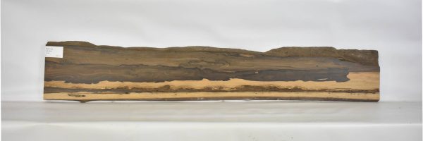 ZIRI1109_2