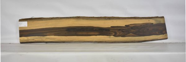 ZIRI1119_2
