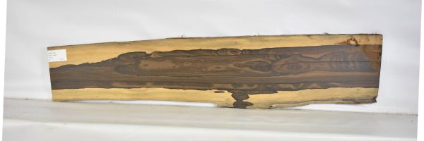 ZIRI1120_2