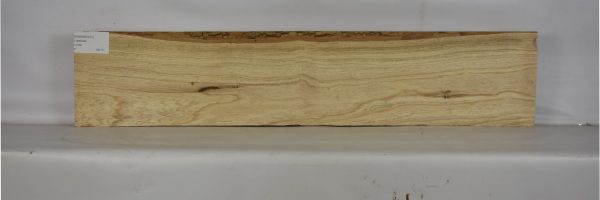 ASHSW1017_1