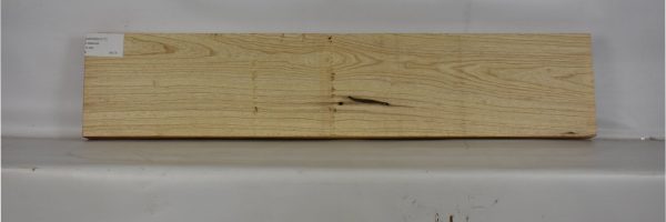 ASHSW1017_2