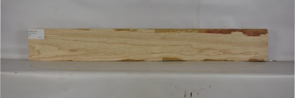 ASHSW1018_2