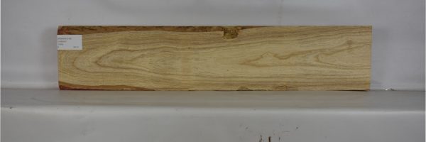ASHSW1019_1