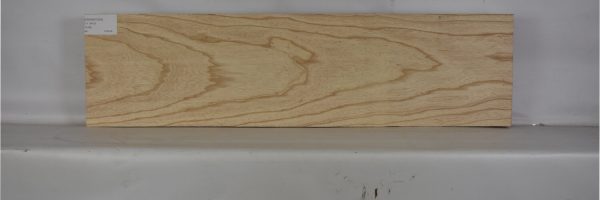 ASHSW1024_2