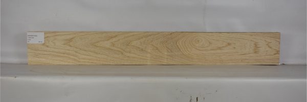 ASHSW1028_1