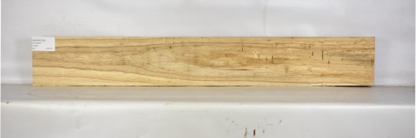 ASHSW1029_2