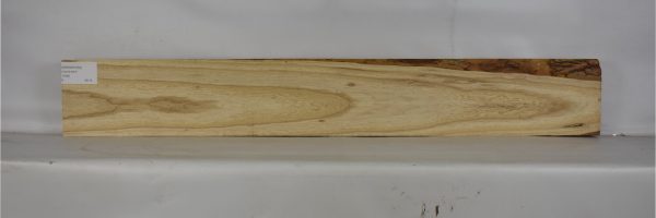 ASHSW1030_2