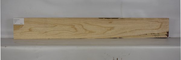 ASHSW1031_1