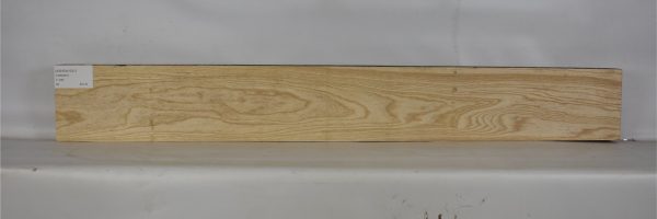 ASHSW1031_2
